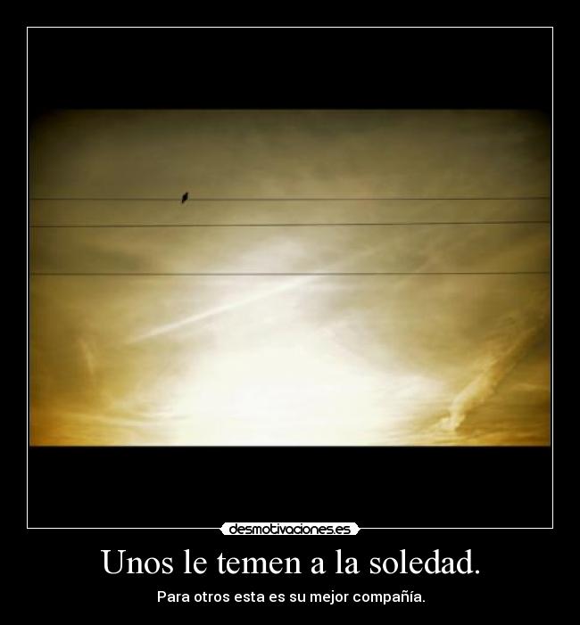 Unos le temen a la soledad. - Para otros esta es su mejor compañía.