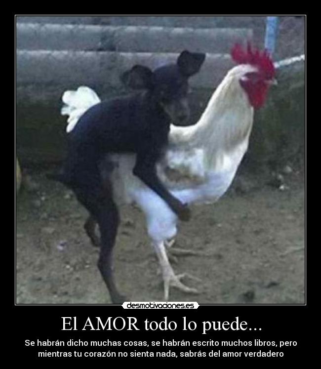 El AMOR todo lo puede... - Se habrán dicho muchas cosas, se habrán escrito muchos libros, pero
mientras tu corazón no sienta nada, sabrás del amor verdadero