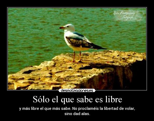 Sólo el que sabe es libre -