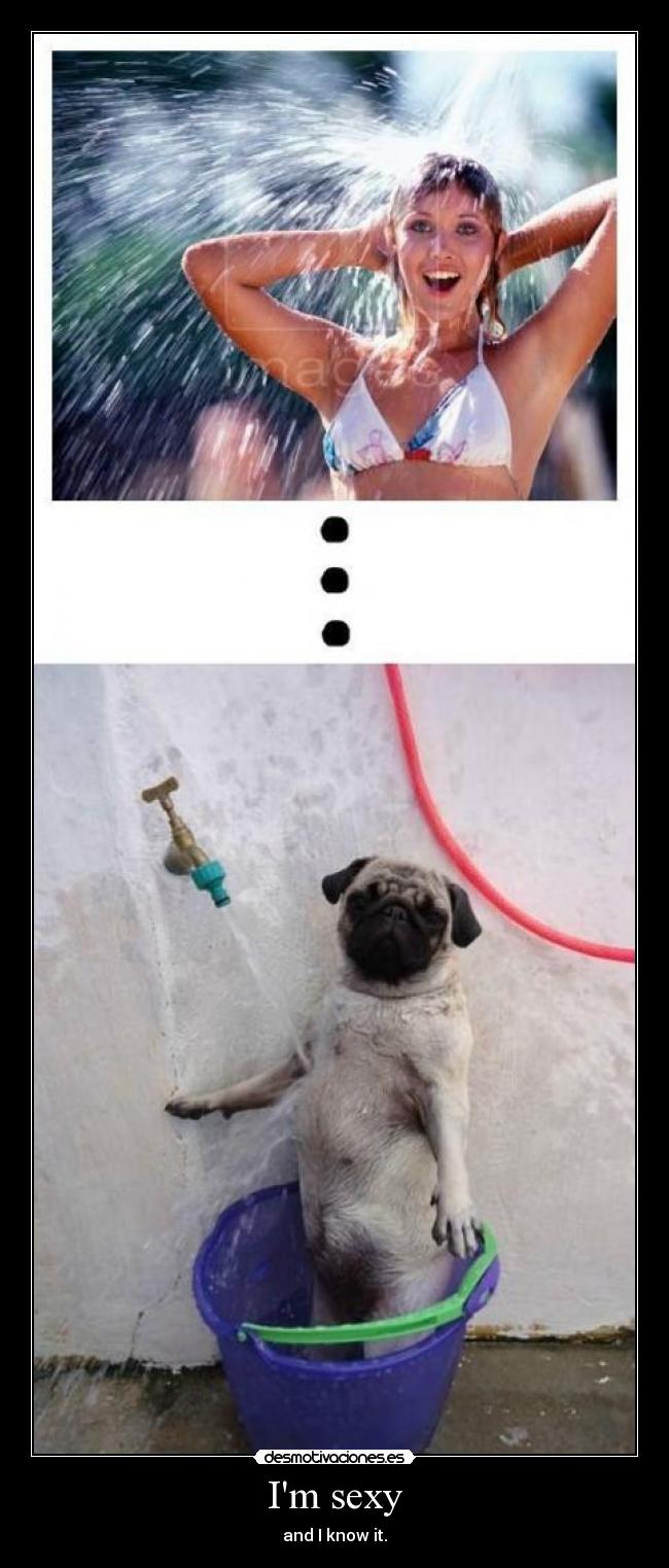 Im sexy - and I know it.