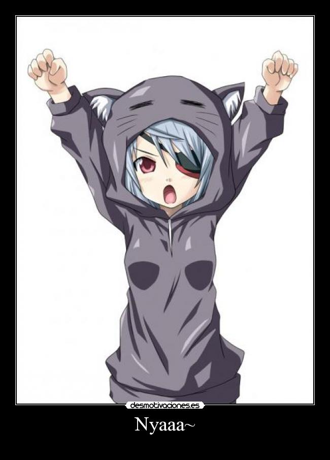 carteles anime infinite stratos laura bodewig neko nya desmotivaciones