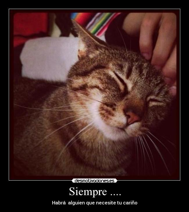 Siempre .... - 