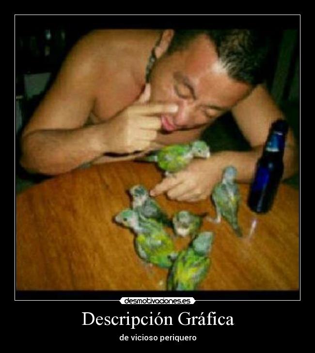 Descripción Gráfica - de vicioso periquero
