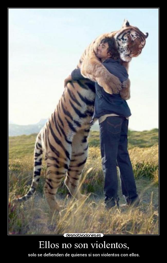 Ellos no son violentos, - 