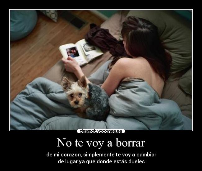 No te voy a borrar -
