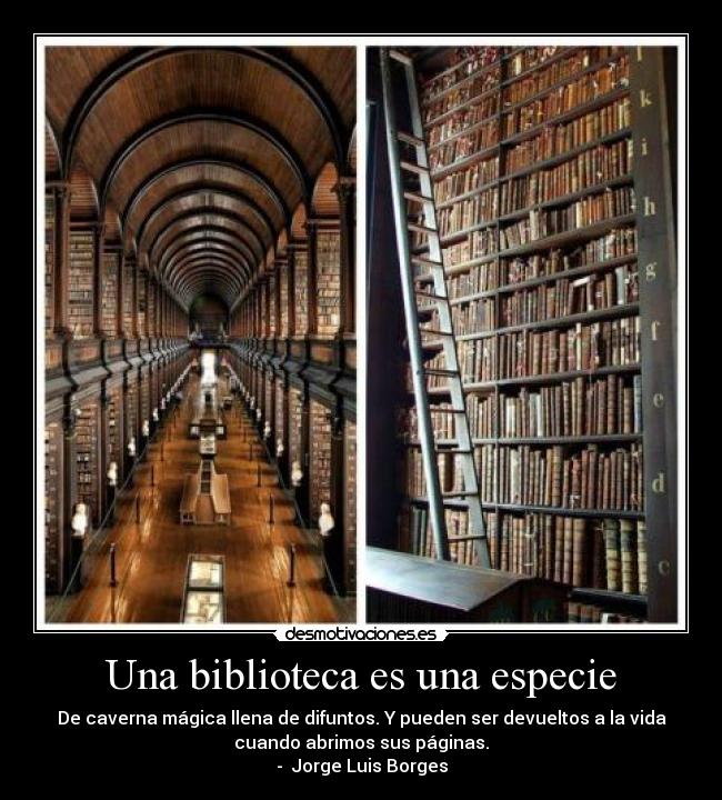 Una biblioteca es una especie - 