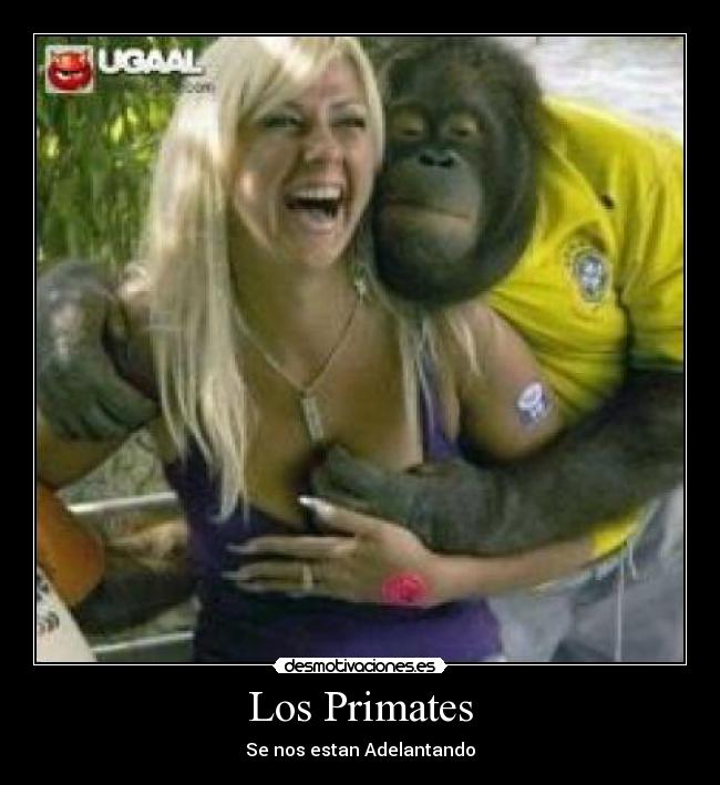 Los Primates - Se nos estan Adelantando