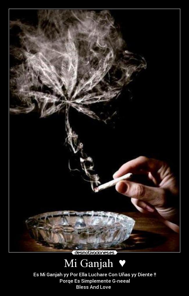 carteles cesiithar desmotivaciones