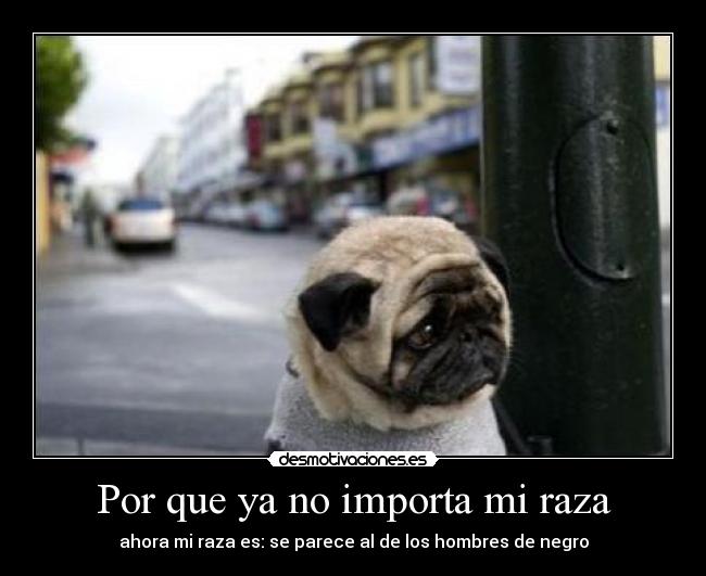 Por que ya no importa mi raza - ahora mi raza es: se parece al de los hombres de negro