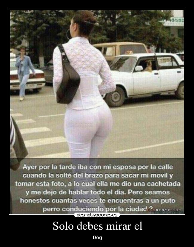Solo debes mirar el - Dog