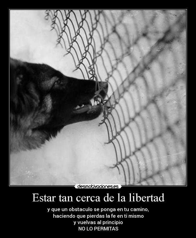 Estar tan cerca de la libertad - y que un obstaculo se ponga en tu camino,
haciendo que pierdas la fe en ti mismo
y vuelvas al principio
NO LO PERMITAS