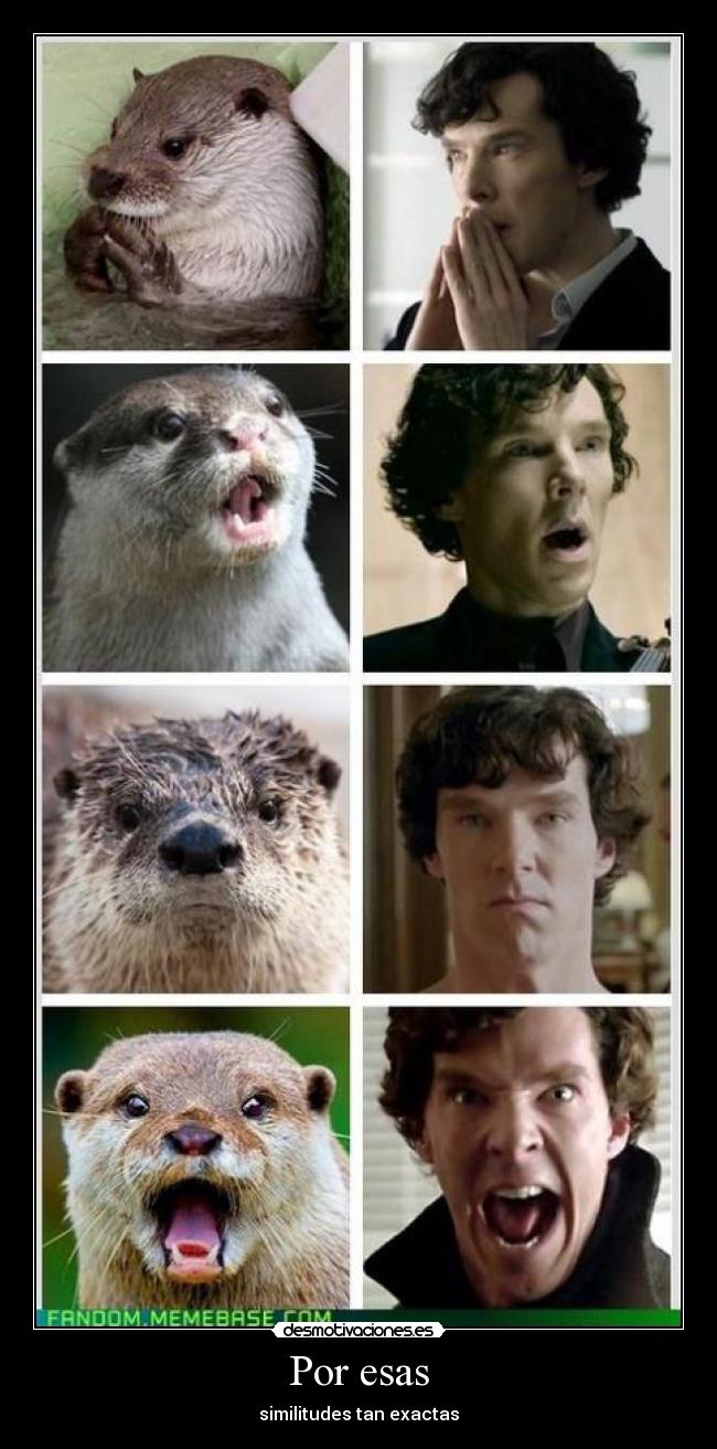 Por esas - similitudes tan exactas
