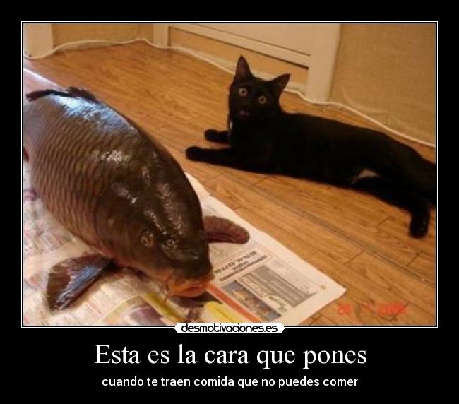 Esta es la cara que pones -