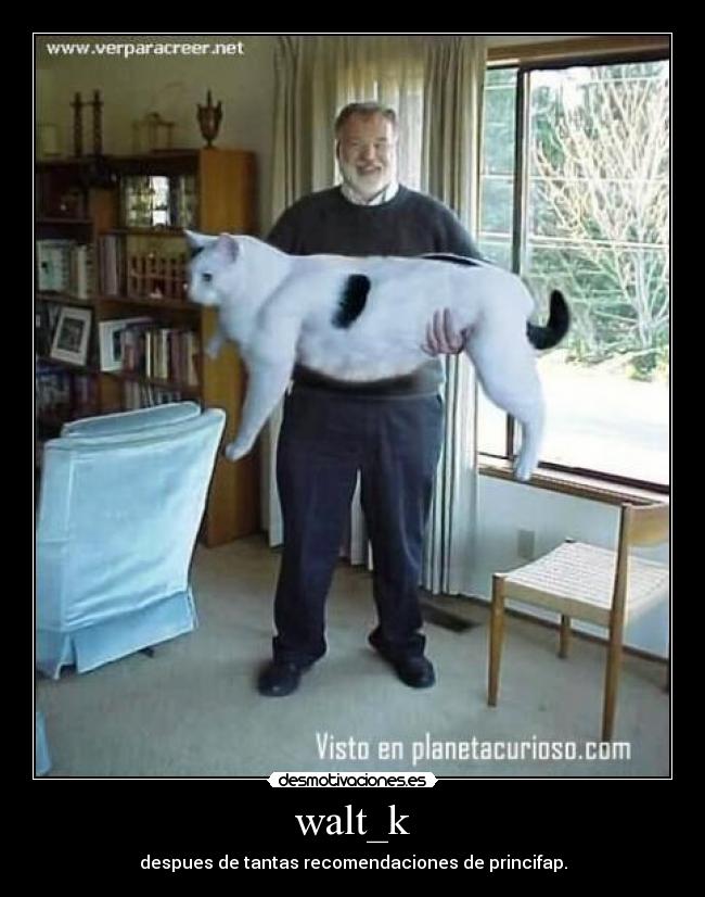 walt_k - despues de tantas recomendaciones de princifap.