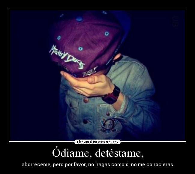 Ódiame, detéstame, - aborréceme, pero por favor, no hagas como si no me conocieras.