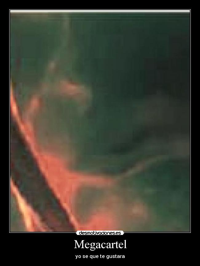 Megacartel - yo se que te gustara