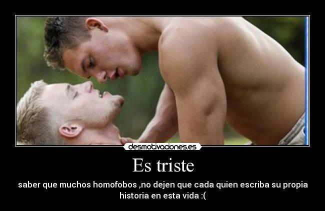 carteles gay homosexualidad amor historia homofobos desmotivaciones