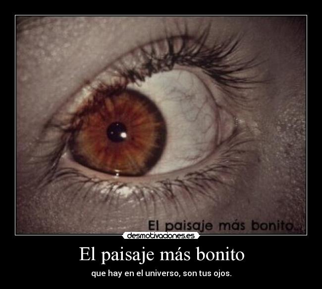 El paisaje más bonito - 