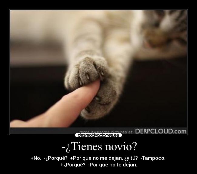 -¿Tienes novio? - +No.  -¿Porqué?  +Por que no me dejan, ¿y tú?  -Tampoco. 
+¿Porqué?  -Por que no te dejan.