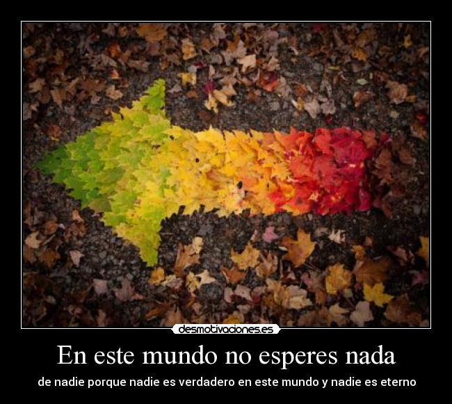 En este mundo no esperes nada - de nadie porque nadie es verdadero en este mundo y nadie es eterno