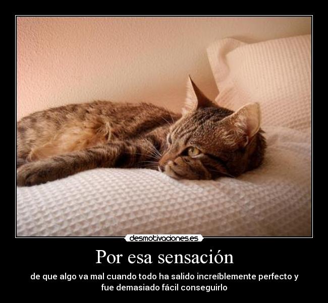 Por esa sensación - de que algo va mal cuando todo ha salido increíblemente perfecto y
fue demasiado fácil conseguirlo