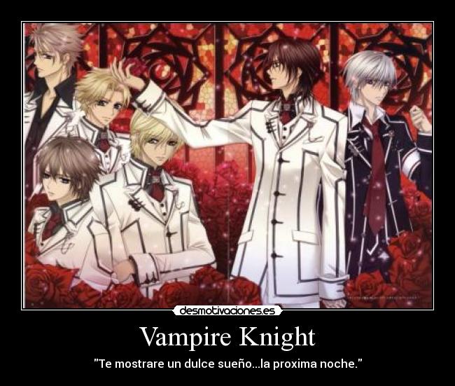 Vampire Knight -
