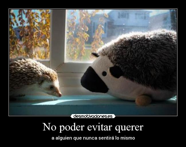 No poder evitar querer - a alguien que nunca sentirá lo mismo