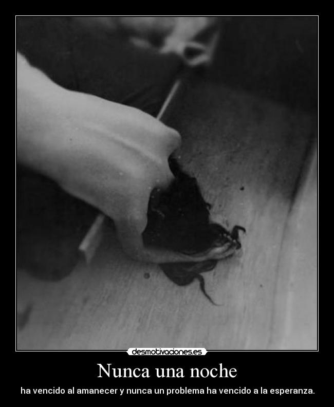 carteles danii angel desmotivaciones