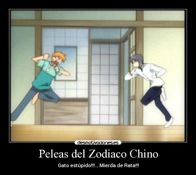 Peleas del Zodiaco Chino - 