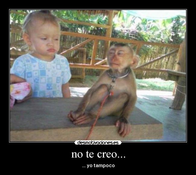 no te creo... - 