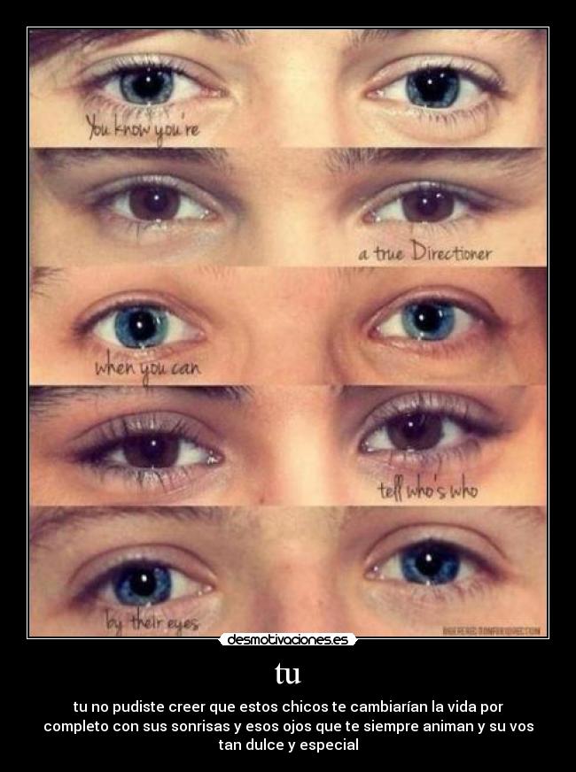 tu - tu no pudiste creer que estos chicos te cambiarían la vida por
completo con sus sonrisas y esos ojos que te siempre animan y su vos
tan dulce y especial