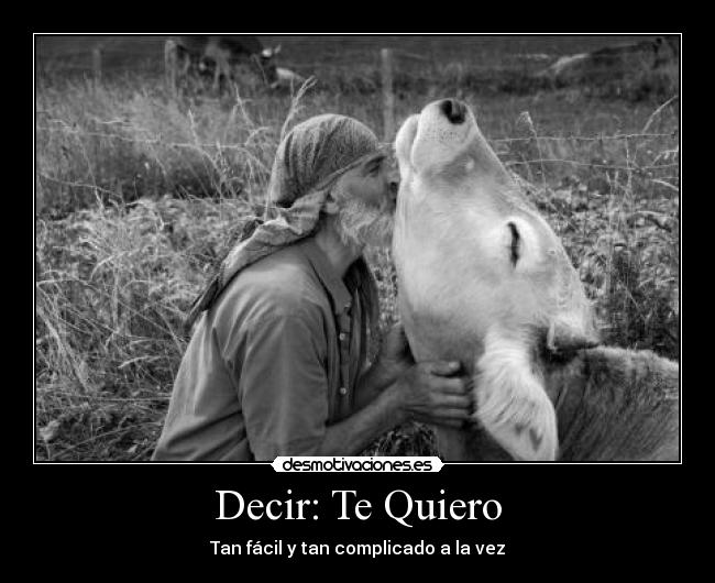 Decir: Te Quiero - Tan fácil y tan complicado a la vez