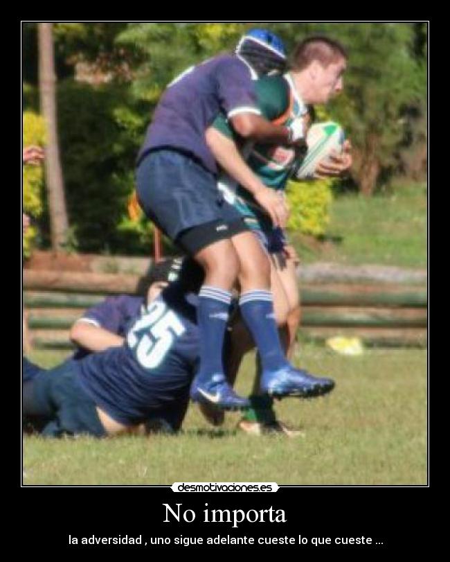 No importa - la adversidad , uno sigue adelante cueste lo que cueste ...