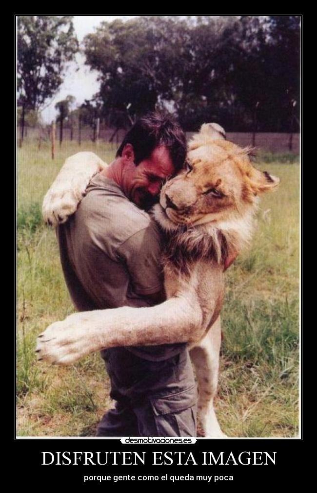 DISFRUTEN ESTA IMAGEN - 