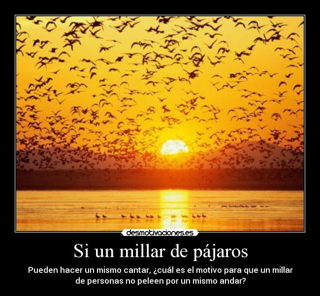 Si un millar de pájaros -