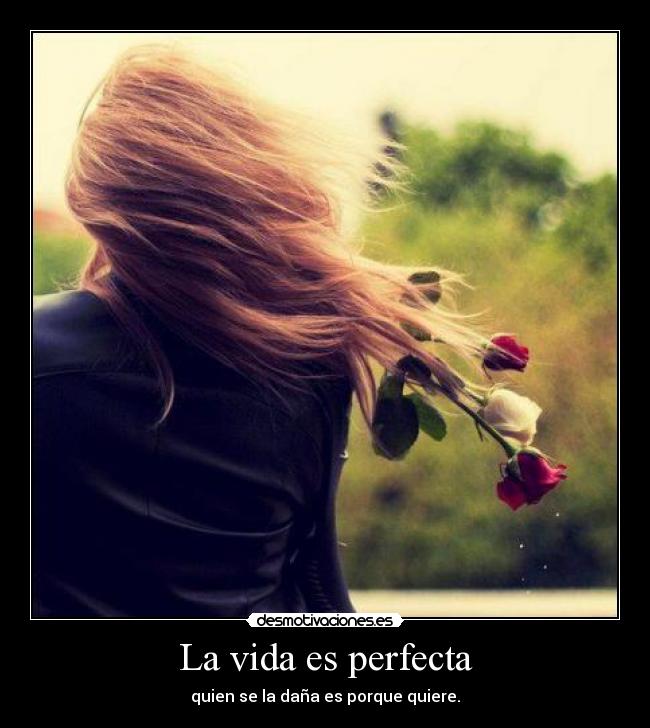 La vida es perfecta - quien se la daña es porque quiere.