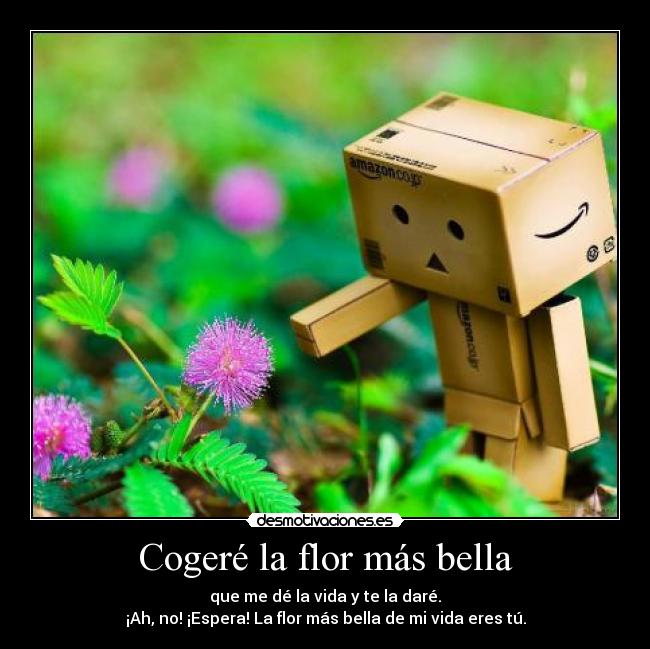 Cogeré la flor más bella -