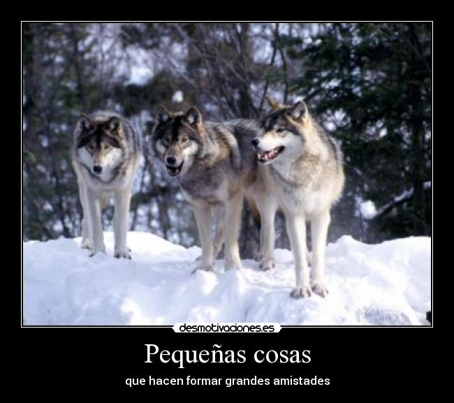 carteles lobos desmotivaciones