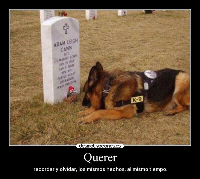 Querer - 