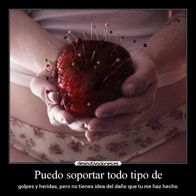 carteles maldito amor odiio desmotivaciones