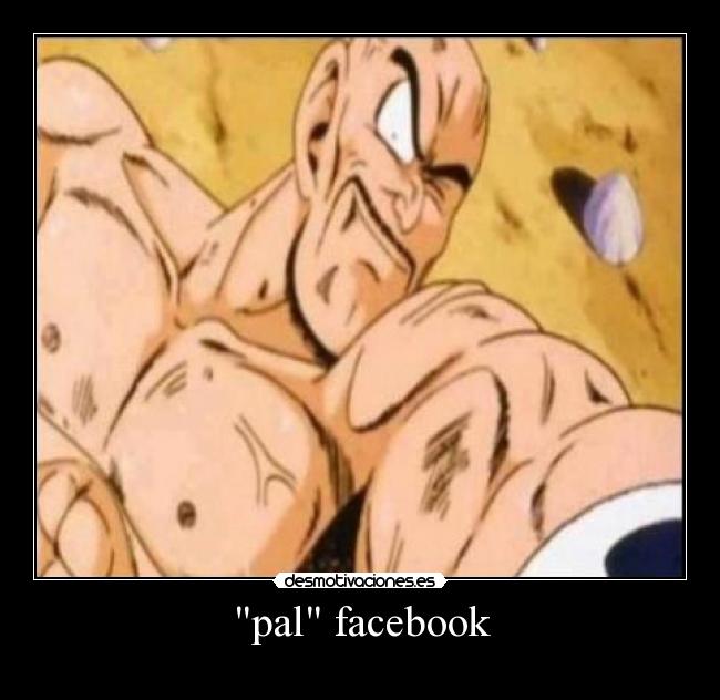 pal facebook -