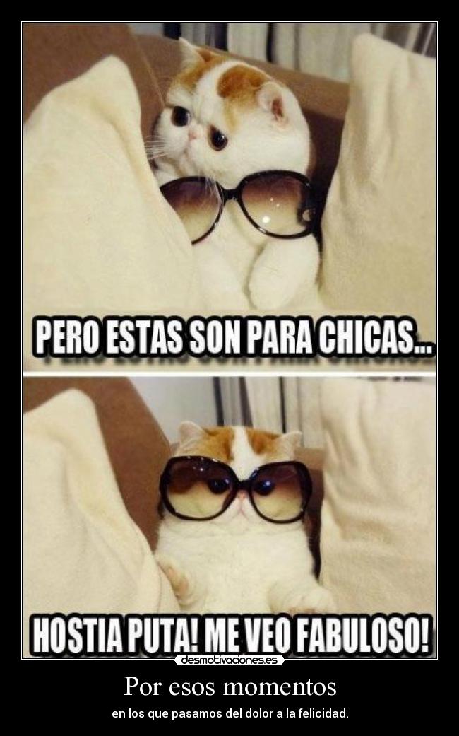 carteles francys zambrano desmotivaciones