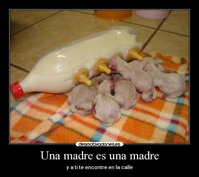 Una madre es una madre - y a ti te encontre en la calle