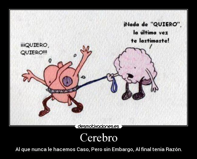 Cerebro -