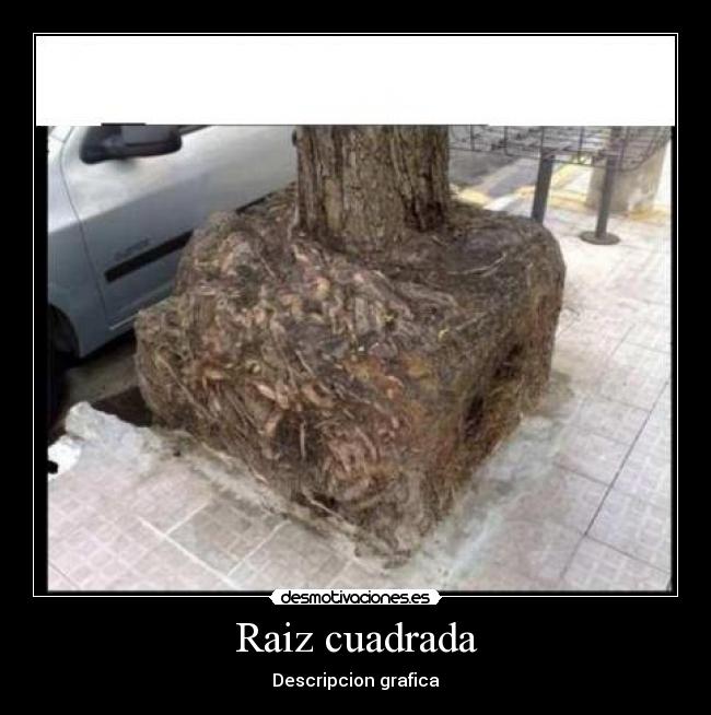 Raiz cuadrada - Descripcion grafica