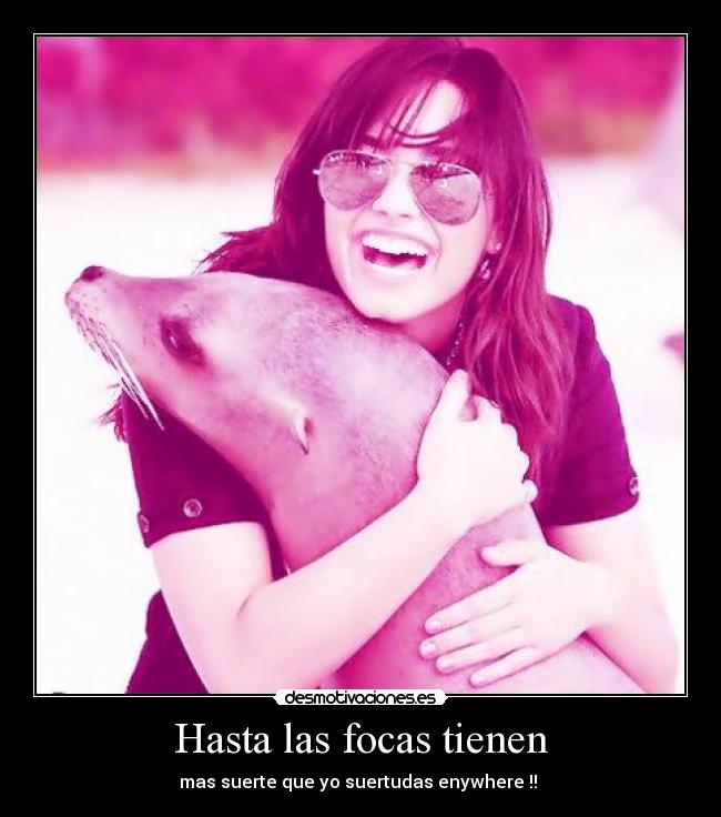 Hasta las focas tienen - mas suerte que yo suertudas enywhere !! 