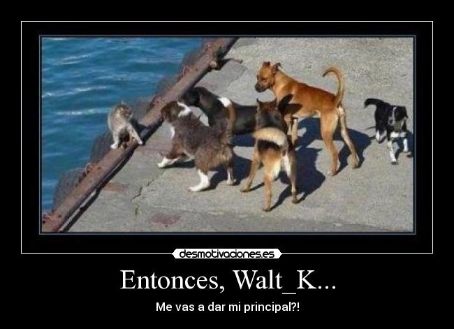 Entonces, Walt_K... -