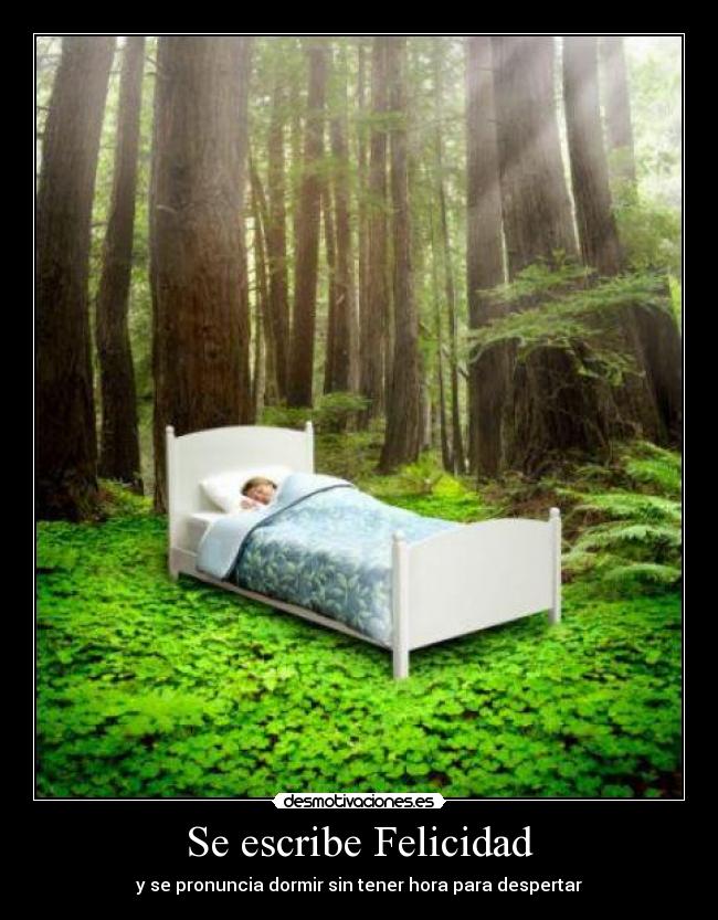 Se escribe Felicidad - y se pronuncia dormir sin tener hora para despertar