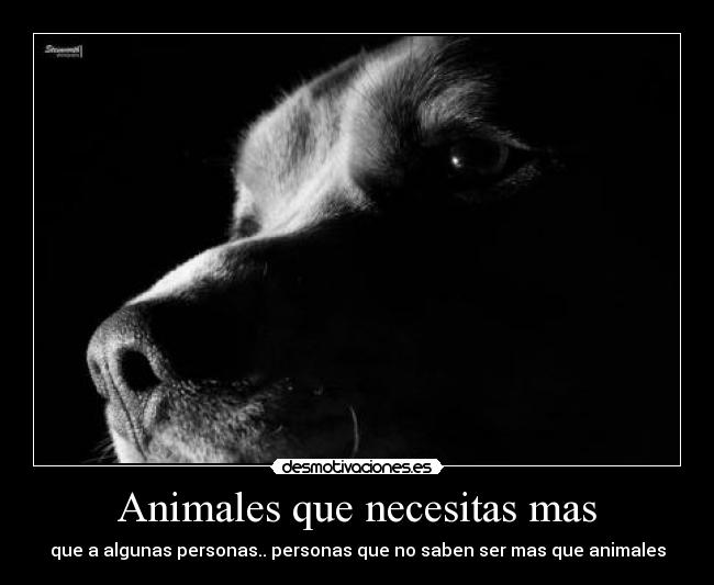 Animales que necesitas mas -