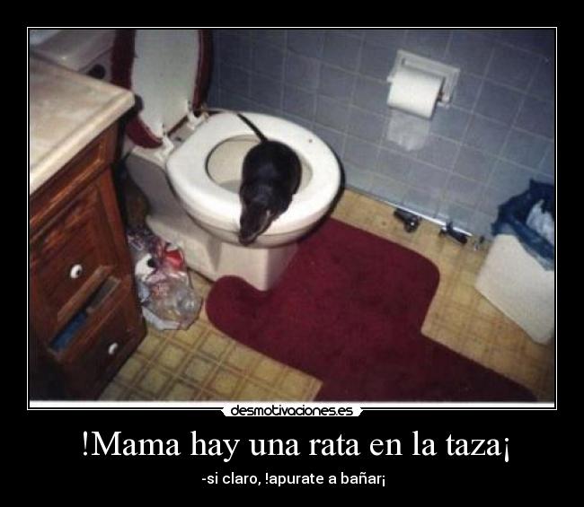 !Mama hay una rata en la taza¡ - -si claro, !apurate a bañar¡